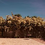 Villa Trulli Mansueto