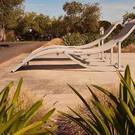 Willa Trulli Mansueto