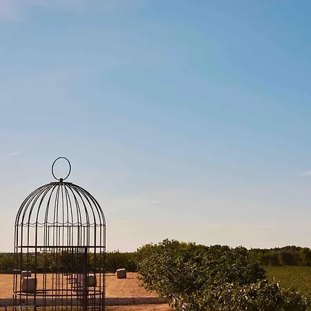 Willa Trulli Mansueto