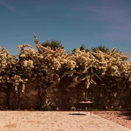 Villa Trulli Mansueto